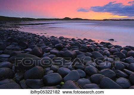 Stock Image - Stony beach in Northumberland, Great Britain. Fotosearch