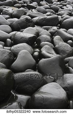 Stock Image - Stony beach in Northumberland, Great Britain. Fotosearch