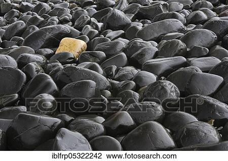 Stock Image - Stony beach in Northumberland, Great Britain. Fotosearch