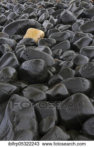 Stock Image - Stony beach in Northumberland, Great Britain. Fotosearch