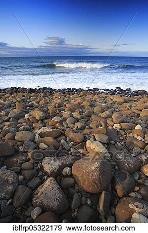 Stony beach in Northumberland, Great Britain View Large Photo Image Stock Photo - Stony beach in Northumberland, Great Britain. Fotosearch