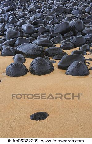 Stock Photo - Stony beach in Northumberland, Great Britain. Fotosearch