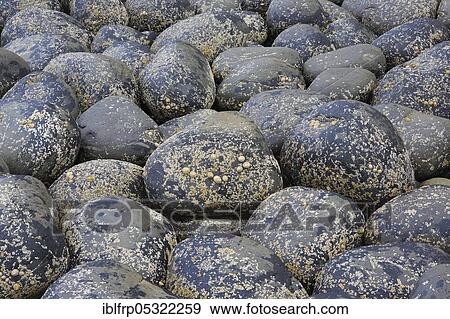 Stony beach in Northumberland, Great Britain View Large Photo Image Stock Photo - Stony beach in Northumberland, Great Britain. Fotosearch
