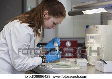 Student of the faculty of biology at the University of Duisburg-Essen during research work pipetting, Essen, North Rhine-Westphalia, Germany, Europe View Large Photo Image Stock Photo - Student of the faculty of biology at the University of Duisburg-Essen during research work pipetting, Essen, North Rhine-Westphalia, Germany, Europe. Fotosearch