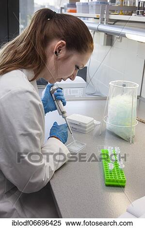 Student of the faculty of biology at the University of Duisburg-Essen during research work pipetting, Essen, North Rhine-Westphalia, Germany, Europe View Large Photo Image Stock Photography - Student of the faculty of biology at the University of Duisburg-Essen during research work pipetting, Essen, North Rhine-Westphalia, Germany, Europe. Fotosearch