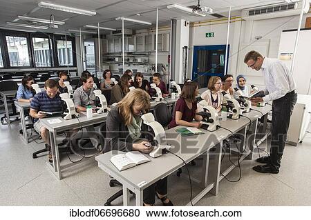 Students at the microscopy course in the Faculty of Biology at the University of Duisburg-Essen View Large Photo Image Stock Image - Students at the microscopy course in the Faculty of Biology at the University of Duisburg-Essen. Fotosearch