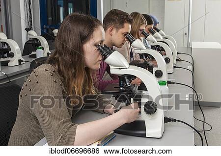 Students at the microscopy course in the Faculty of Biology at the University of Duisburg-Essen View Large Photo Image Stock Photograph - Students at the microscopy course in the Faculty of Biology at the University of Duisburg-Essen. Fotosearch
