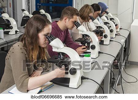 Stock Photography - Students at the microscopy course in the Faculty of Biology at the University of Duisburg-Essen. Fotosearch