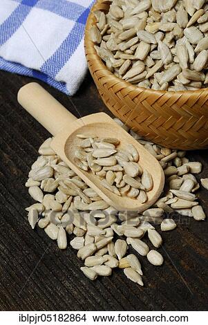 Sunflower seeds, kernels, seeds, seedlings, hulled, sunflower View Large Photo Image Picture - Sunflower seeds, kernels, seeds, seedlings, hulled, sunflower. Fotosearch