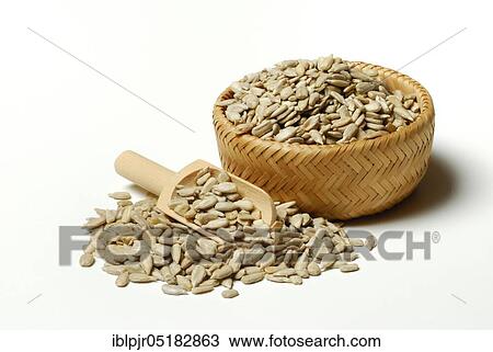 Sunflower seeds, kernels, seeds, seedlings, hulled, sunflower View Large Photo Image Stock Image - Sunflower seeds, kernels, seeds, seedlings, hulled, sunflower. Fotosearch
