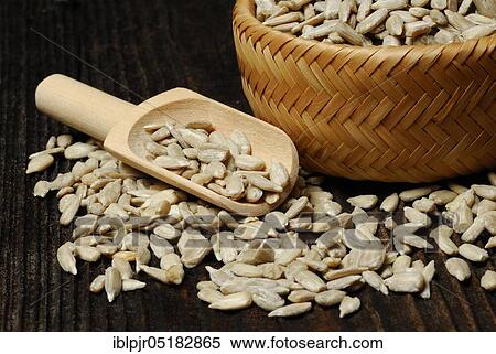 Sunflower seeds, kernels, seeds, seedlings, hulled, sunflower View Large Photo Image Stock Photography - Sunflower seeds, kernels, seeds, seedlings, hulled, sunflower. Fotosearch