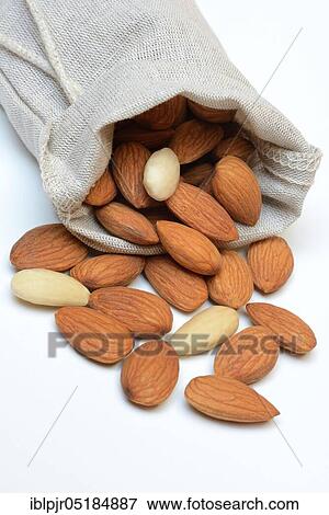 Stock Photo - Sweet almonds in linen bags ( Prunus dulcis). Fotosearch
