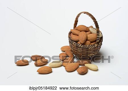 Sweet almonds with basket ( Prunus dulcis) View Large Photo Image Stock Image - Sweet almonds with basket ( Prunus dulcis). Fotosearch