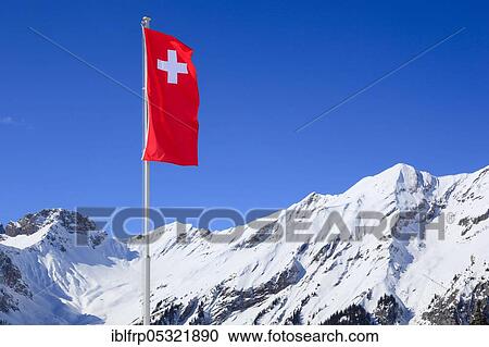Swiss flag, Bernese Alps, Bern, Switzerland, Europe View Large Photo Image Stock Image - Swiss flag, Bernese Alps, Bern, Switzerland, Europe. Fotosearch