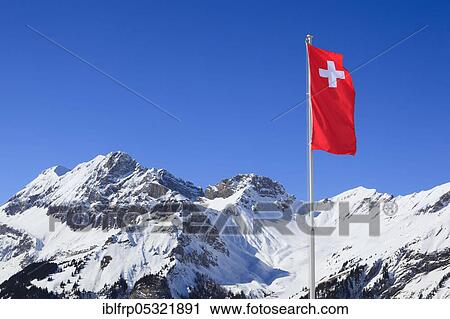 Swiss flag, Bernese Alps, Bern, Switzerland, Europe View Large Photo Image Stock Image - Swiss flag, Bernese Alps, Bern, Switzerland, Europe. Fotosearch
