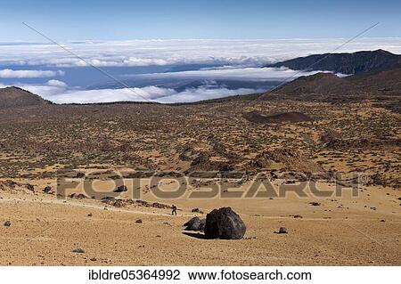 Teide eggs or lava balls in Teide National Park, Tenerife, Canary Islands, Spain, Europe View Large Photo Image Stock Image - Teide eggs or lava balls in Teide National Park, Tenerife, Canary Islands, Spain, Europe. Fotosearch