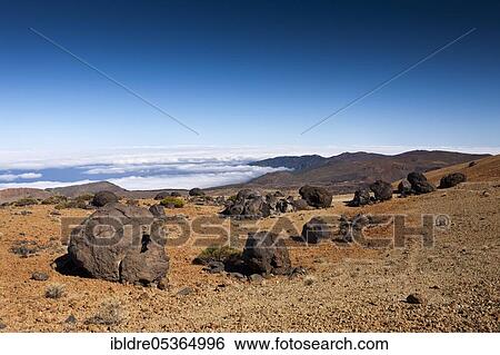 Teide eggs or lava balls in Teide National Park, Tenerife, Canary Islands, Spain, Europe View Large Photo Image Stock Photograph - Teide eggs or lava balls in Teide National Park, Tenerife, Canary Islands, Spain, Europe. Fotosearch