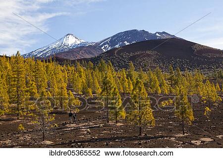 Teide National Park crater landscape, Tenerife, Spain, Europe View Large Photo Image Stock Image - Teide National Park crater landscape, Tenerife, Spain, Europe. Fotosearch