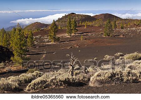 Teide National Park crater landscape, Tenerife, Spain, Europe View Large Photo Image Stock Image - Teide National Park crater landscape, Tenerife, Spain, Europe. Fotosearch
