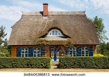 Thatched roof house, Wieck am Darß, Mecklenburg-Western Pomerania, Germany, Europe View Large Photo Image Stock Image - Thatched roof house, Wieck am Darß, Mecklenburg-Western Pomerania, Germany, Europe. Fotosearch