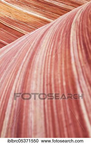 Stock Image - The Wave, Coyote Buttes, Paria Canyon, Vermilion Cliffs National Monument, Arizona, Colorado Plateau, Coyote Buttes North, Paria Wilderness Area, Paria Canyon Vermilion Cliffs Wilderness, Sandstone Formation, Navajo Sandstone, USA, North America. Fotosearch