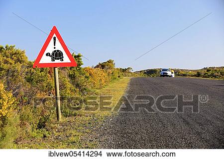 Traffic sign, Attention turtles, Cape Peninsula, Western Cape, South Africa, Africa View Large Photo Image Picture - Traffic sign, Attention turtles, Cape Peninsula, Western Cape, South Africa, Africa. Fotosearch