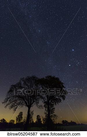 Trees in front of a starry sky, Milky Way, Lower Saxony, Germany, Europe View Large Photo Image Stock Photo - Trees in front of a starry sky, Milky Way, Lower Saxony, Germany, Europe. Fotosearch