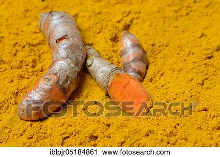 Stock Image - Turmericpowder and ( Curcuma longa) salsify. Fotosearch