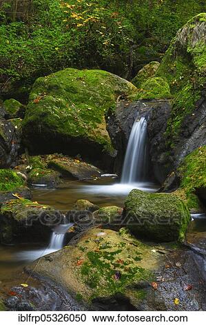 Stock Image - Twannbach, Twannbach Gorge, Bern, Switzerland, Europe. Fotosearch