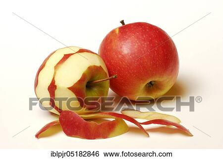 Two apples, apple, apple skin, apple peel, peeled, variety Pink Lady View Large Photo Image Stock Photograph - Two apples, apple, apple skin, apple peel, peeled, variety Pink Lady. Fotosearch