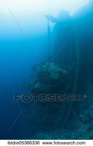 Upright tuna boat wreck, Marovo Lagoon, Solomon Islands, Oceania View Large Photo Image Stock Photograph - Upright tuna boat wreck, Marovo Lagoon, Solomon Islands, Oceania. Fotosearch