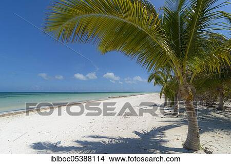 Picture - Varadero Beach, Cuba, Central America. Fotosearch