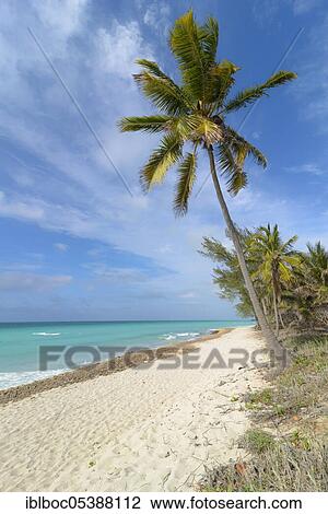 Varadero Beach, Cuba, Central America View Large Photo Image Stock Image - Varadero Beach, Cuba, Central America. Fotosearch