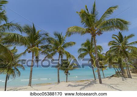 Varadero Beach, Cuba, Central America View Large Photo Image Stock Image - Varadero Beach, Cuba, Central America. Fotosearch