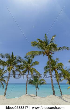 Varadero Beach, Cuba, Central America View Large Photo Image Stock Image - Varadero Beach, Cuba, Central America. Fotosearch