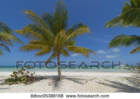Varadero Beach, Cuba, Central America View Large Photo Image Stock Photo - Varadero Beach, Cuba, Central America. Fotosearch