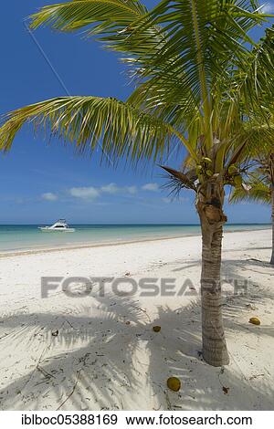 Stock Photo - Varadero Beach, Cuba, Central America. Fotosearch