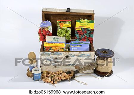 Various seeds in wooden box, bulb, onion, onionlet, onionlet, paper pot, paper pot View Large Photo Image Stock Photo - Various seeds in wooden box, bulb, onion, onionlet, onionlet, paper pot, paper pot. Fotosearch
