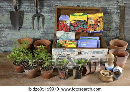 Various seeds in wooden box, paper pot View Large Photo Image Stock Image - Various seeds in wooden box, paper pot. Fotosearch