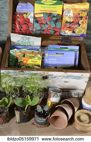 Various seeds in wooden box, paper pot View Large Photo Image Stock Image - Various seeds in wooden box, paper pot. Fotosearch