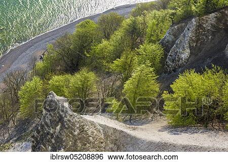 Stock Photograph - Victoria view, beech forest, chalk cliffs, Jasmund National Park, Rügen, Mecklenburg-Western Pomerania, Germany, Europe. Fotosearch
