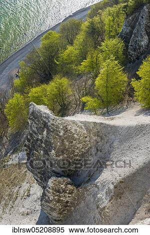 Victoria view, beech forest, chalk cliffs, Jasmund National Park, Rügen, Mecklenburg-Western Pomerania, Germany, Europe View Large Photo Image Stock Photography - Victoria view, beech forest, chalk cliffs, Jasmund National Park, Rügen, Mecklenburg-Western Pomerania, Germany, Europe. Fotosearch