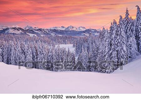 View from Gotschalkenberg with view to the Central Swiss Alps, Switzerland, Europe View Large Photo Image Stock Image - View from Gotschalkenberg with view to the Central Swiss Alps, Switzerland, Europe. Fotosearch