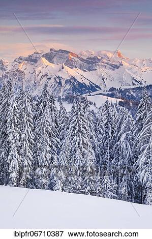 Stock Photo - View from Gotschalkenberg with view to Glärnisch in the Schwyzer Alps, Switzerland, Europe. Fotosearch