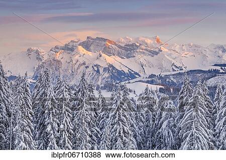 View from Gotschalkenberg with view to Glärnisch in the Schwyzer Alps, Switzerland, Europe View Large Photo Image Stock Photo - View from Gotschalkenberg with view to Glärnisch in the Schwyzer Alps, Switzerland, Europe. Fotosearch