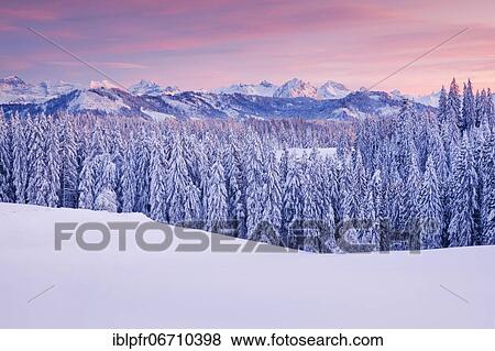 View from Gotschalkenberg with view to the Central Swiss Alps, Switzerland, Europe View Large Photo Image Stock Photo - View from Gotschalkenberg with view to the Central Swiss Alps, Switzerland, Europe. Fotosearch