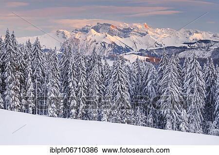 View from Gotschalkenberg with view to Glärnisch in the Schwyzer Alps, Switzerland, Europe View Large Photo Image Stock Photograph - View from Gotschalkenberg with view to Glärnisch in the Schwyzer Alps, Switzerland, Europe. Fotosearch