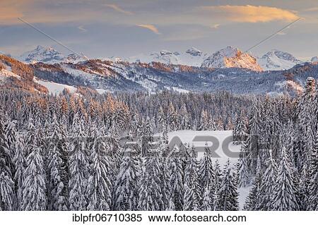 Stock Photography - View from Gotschalkenberg with view to the Central Swiss Alps, Switzerland, Europe. Fotosearch