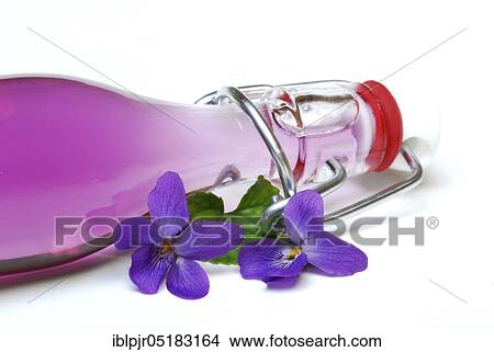 Picture - Violet syrup in bottle and violet flowers, violet taste, syrup. Fotosearch