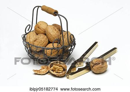 Walnuts (Juglans regia) in basket, nutcracker View Large Photo Image Picture - Walnuts (Juglans regia) in basket, nutcracker. Fotosearch